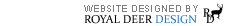 Web Design New York